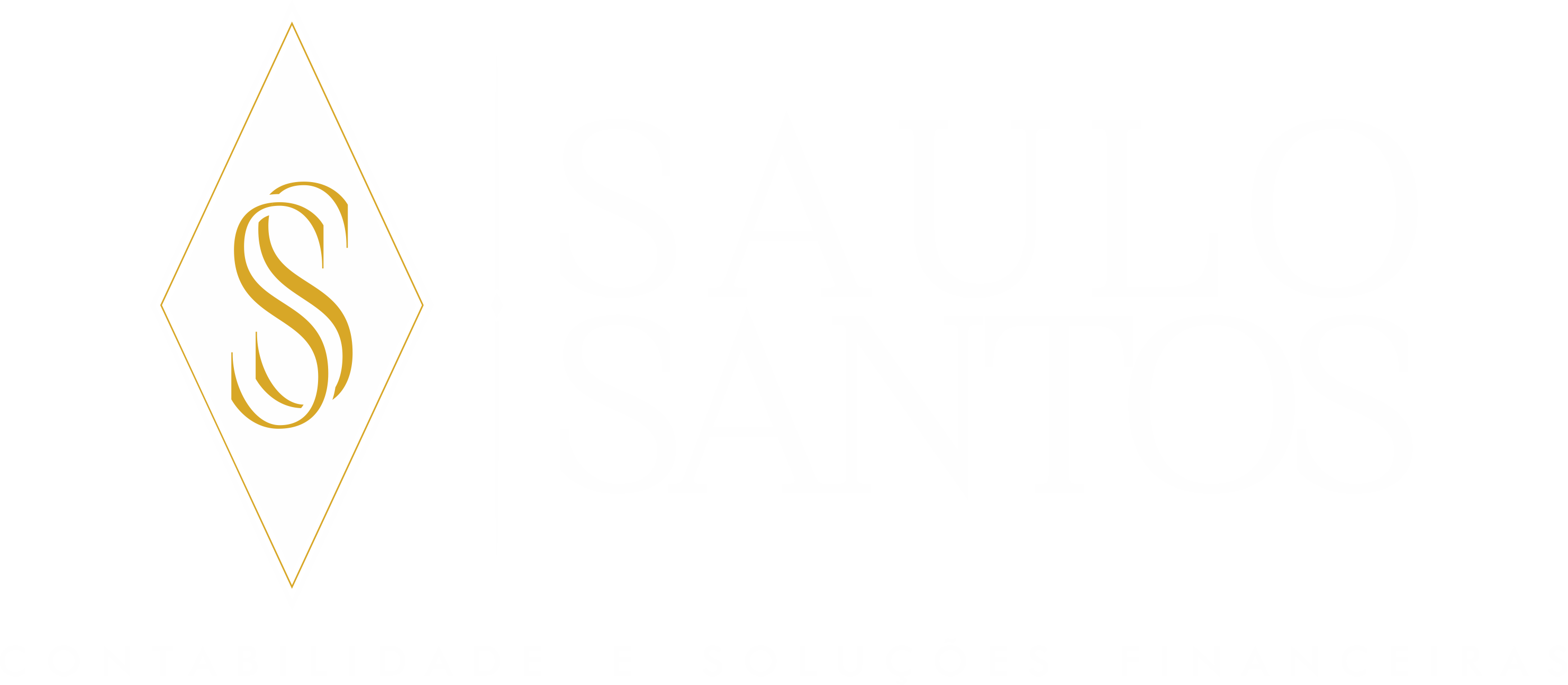Saulo Santos 2.png